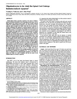 Oligodendrocytes in the Adult Rat Spinal Cord Undergo Radiation