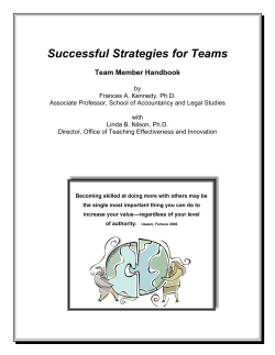 Successful Strategies for Teams