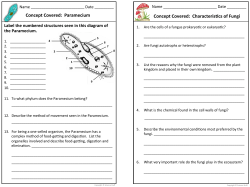 Concept!Covered:!!Paramecium!!