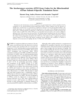 The Saccharomyces cerevisiae ATP22 Gene Codes for