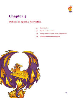 Chapter 4 &ndash; Options in Sport and Recreation