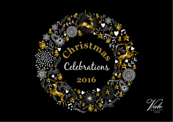 Christmas 2016 Broch