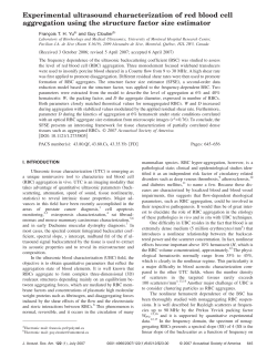 Experimental ultrasound characterization of red blood cell