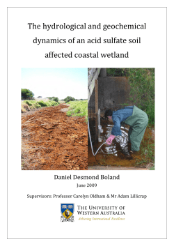 The hydrological and geochemical dynamics of an acid
