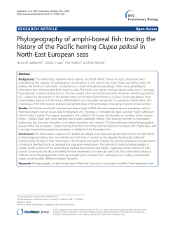 Phylogeography of amphi-boreal fish: tracing the history of the