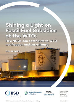 Shining a Light on Fossil Fuel Subsidies at the WTO