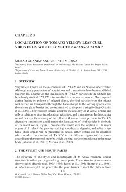 as a PDF