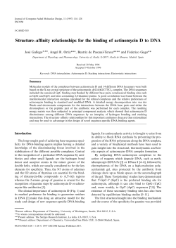 Structure&ndash;affinity relationships for the binding of actinomycin D to DNA