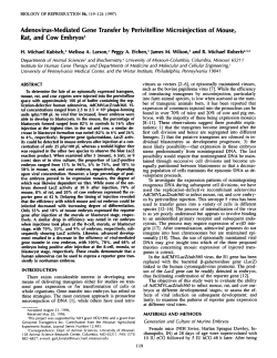 Adenovirus-Mediated Gene Transfer by Perivitelline Microinjection