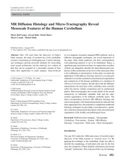 MR Diffusion Histology and Micro-Tractography Reveal Mesoscale