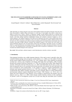 Coastal Dynamics 2013 801 THE INFLUENCE OF NEARSHORE
