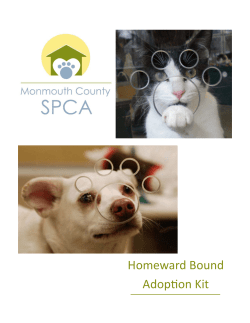 Homeward Bound Adopon Kit