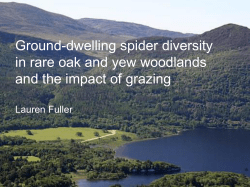 Does Killarney National Park support rare or specialist spider