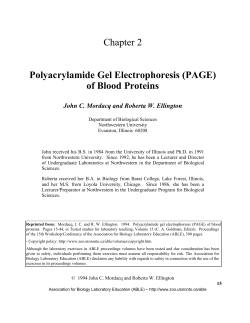 Polyacrylamide Gel Electrophoresis (PAGE)