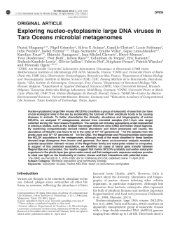Exploring nucleo-cytoplasmic large DNA viruses in Tara