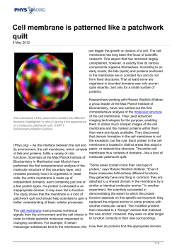 Cell membrane is patterned like a patchwork quilt