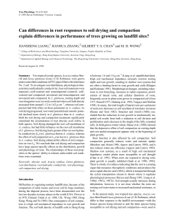 Can differences in root responses to soil drying and compaction