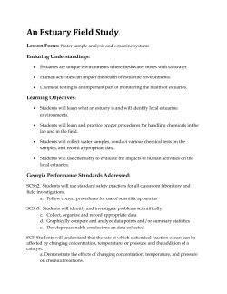 An Estuary Field Study