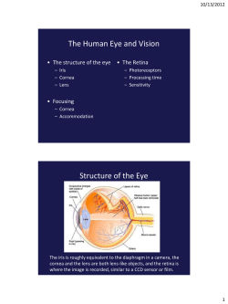 The Human Eye and Vision Structure of the Eye