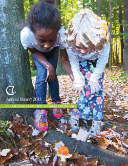 the 2013 report