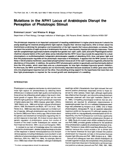 Mutations in the NPH1 Locus of Arabidopsis