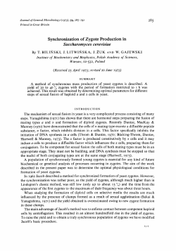 Synchronization of Zygote Production in