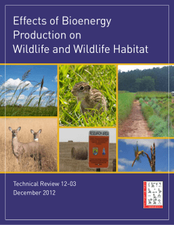Effects of Bioenergy Production on Wildlife and Wildlife Habitat