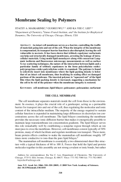 Membrane Sealing by Polymers - Ka Yee Lee