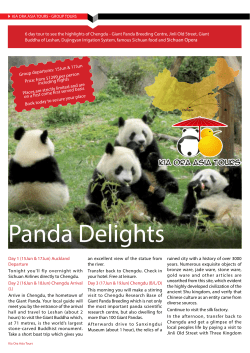 Panda Delights - Kia Ora Asia Tours