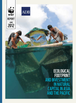 Ecological Footprint and Investment in Natural Capital in Asia and