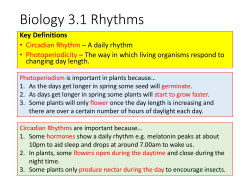 B3 Revision Cards - All Saints Academy Dunstable