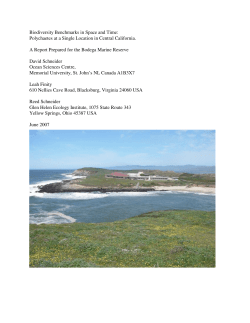 2007 Benchmark Report  - UC Davis Bodega Marine Laboratory