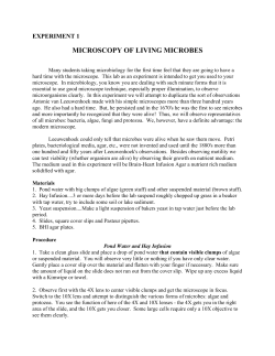 Microscopy of Living Microbes