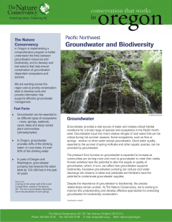 Groundwater and Biodiversity