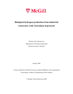 Biological Hydrogen Production from Industrial