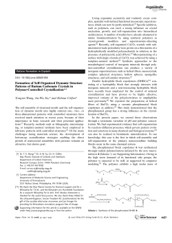 Formation of Self-Organized Dynamic Structure Patterns of Barium