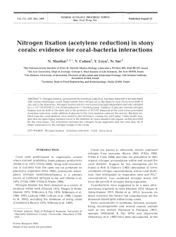 Nitrogen fixation (acetylene reduction) in stony corals
