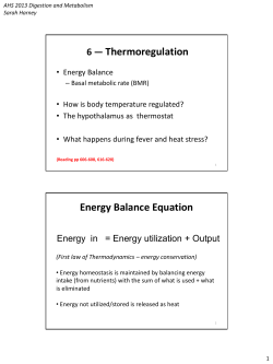 Sarah Harney_AHS Digestion 6