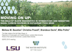 The Role of Black Mangroves in Introducing and Mediating Basal