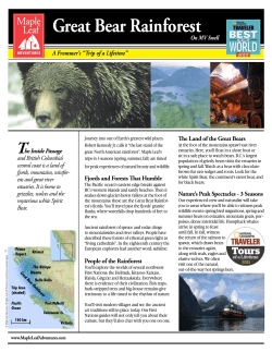 Great Bear Rainforest - Maple Leaf Adventures