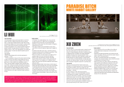 paradi$e bitch xu zhen li hui
