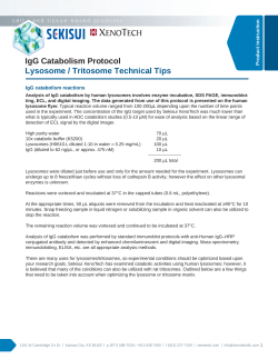 IgG Catabolism Protocol - Lysosome / Tritosome