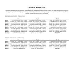 the Training Plan