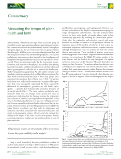 Measuring the tempo of plant death and birth