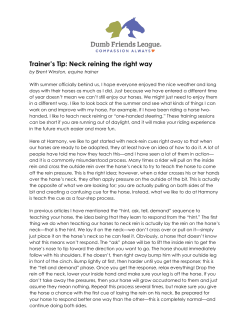 Trainer`s Tip: Neck reining the right way