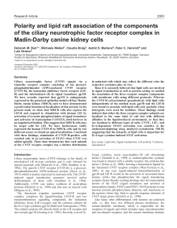 Polarity and lipid raft association of the components