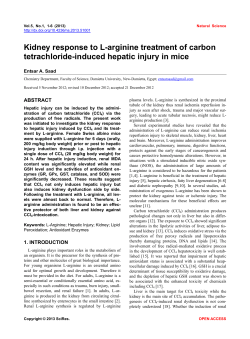 Kidney response to L-arginine treatment of carbon tetrachloride