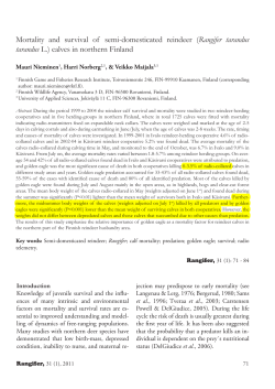 Mortality and survival of semi-domesticated reindeer