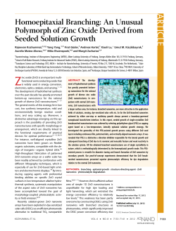 Homoepitaxial Branching: An Unusual Polymorph of Zinc Oxide