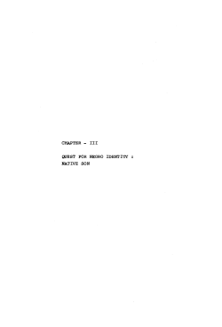 CHAPTER - III QUEST FOR NEGRO IDENTITY NATIVE SON